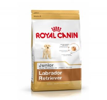 Royal Canin Labrador Junior 12 Kg